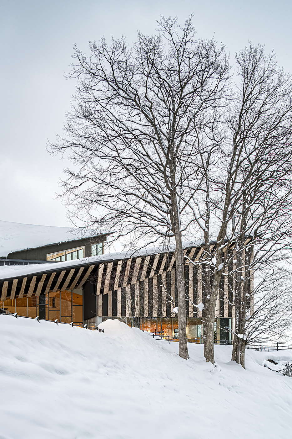 Kitoushi Forest Kitoron