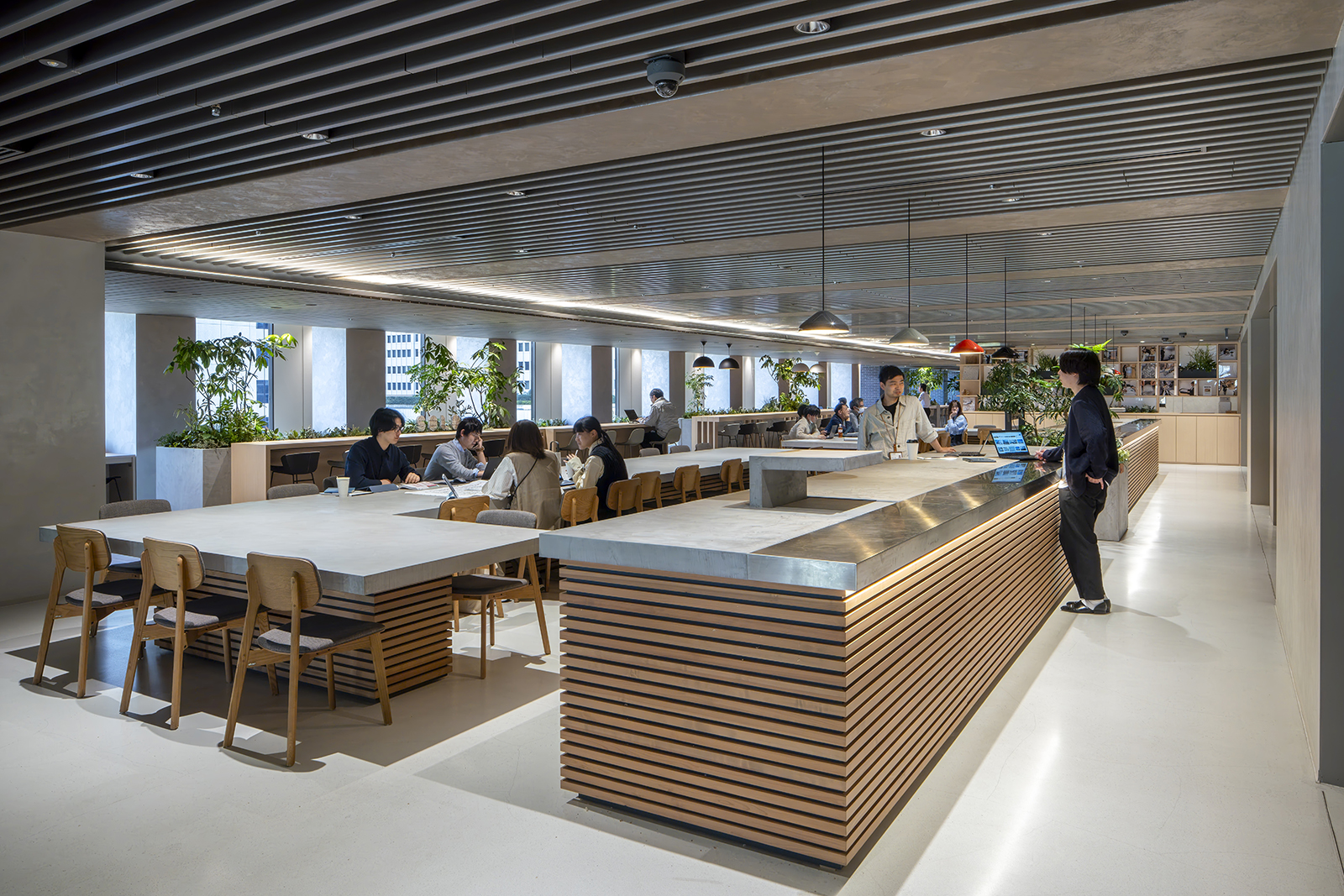 New Commonplace ROCKai