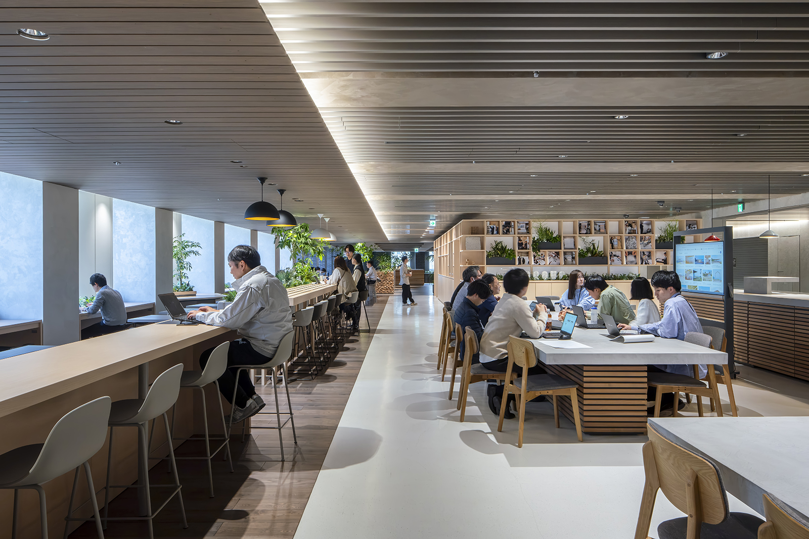 New Commonplace ROCKai