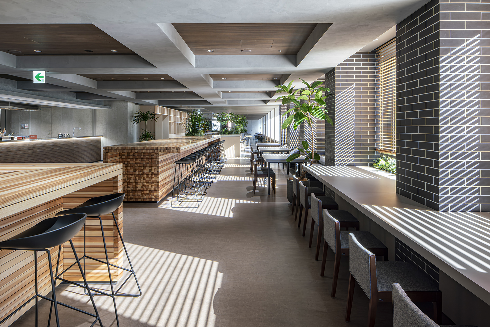 New Commonplace ROCKai