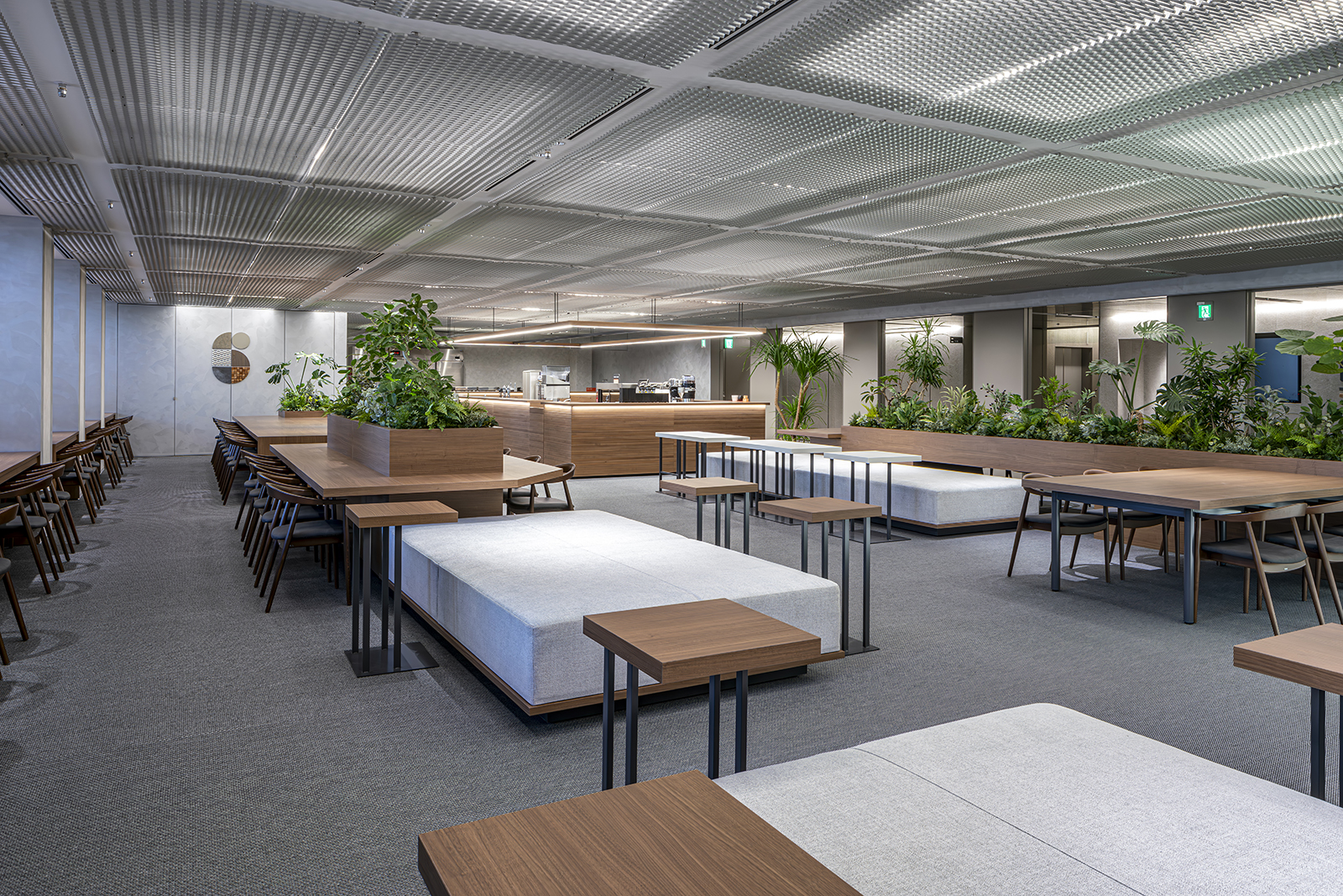 New Commonplace ROCKai